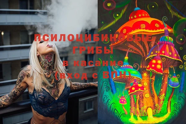 эйфоретик Володарск